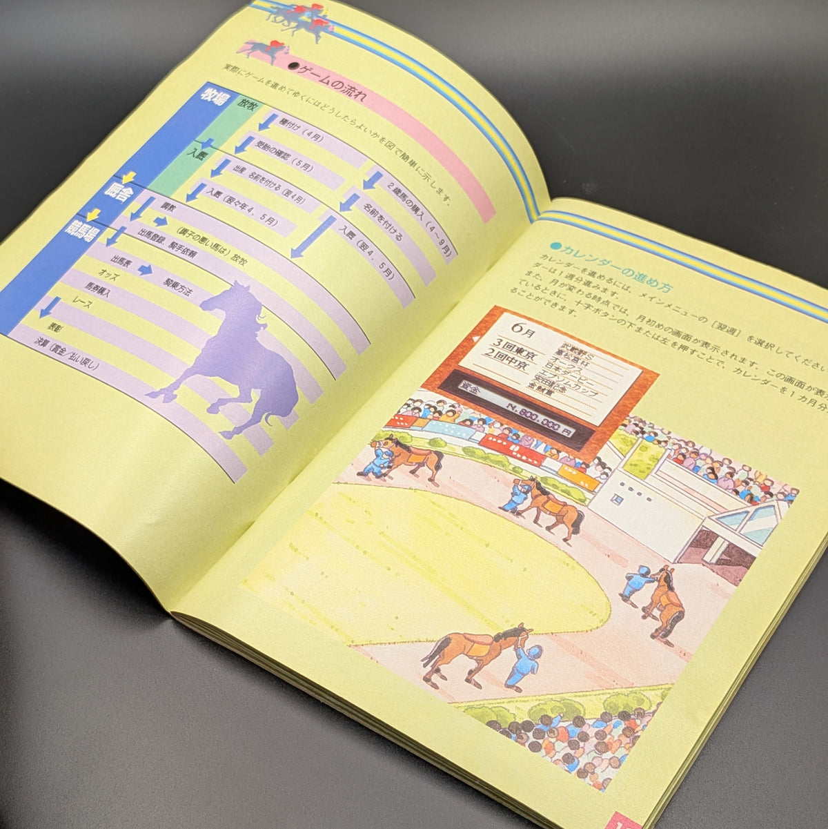 Standing open is the manual for Derby Stallion 96 for Nintendo's Super Famicom (SFC) Entertainment System, showing internal pages with various images and information about the game. This is displayed on a dark grey background.