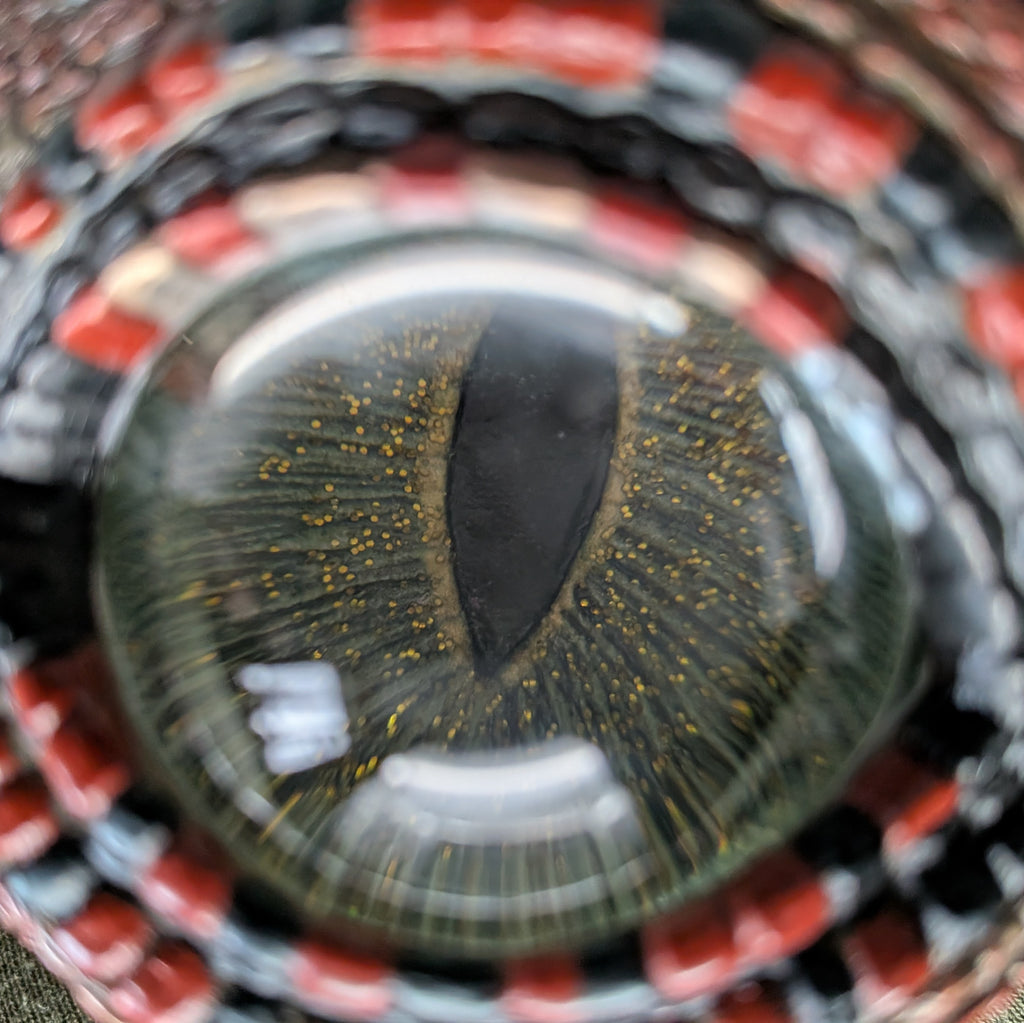 Extreme close-up of a realistic eye with a green-gray iris, golden glitter, and a black pupil, surrounded by a red and black patterned outer ring.