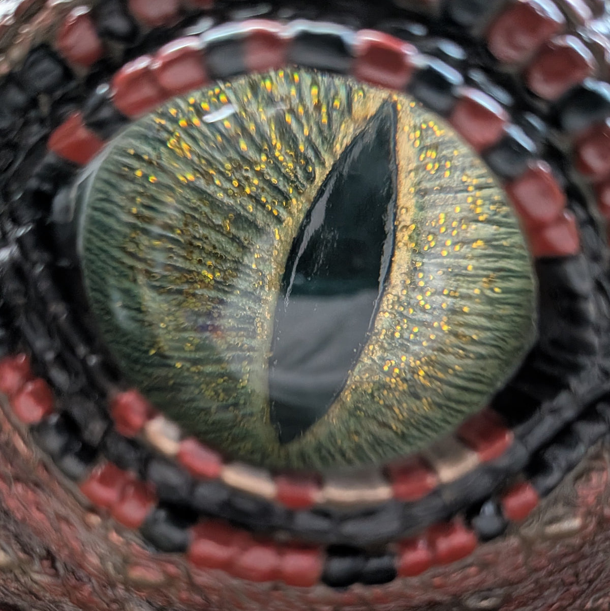 Extreme close-up of a reptile or dragon eye with a green and gold iris, a dark slit pupil, and a textured red and black beaded ring surrounding it.
