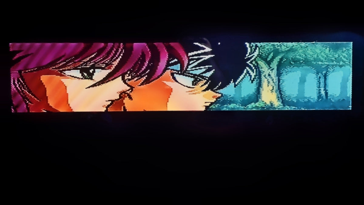 A game title screen showing an anime-style illustration, a side profile of two characters side by side on the left, a blue forest scene fills the right, set against a black background. This is for the game Yu Yu Hakusho, on Nintendo's Super Famicom (SFC).